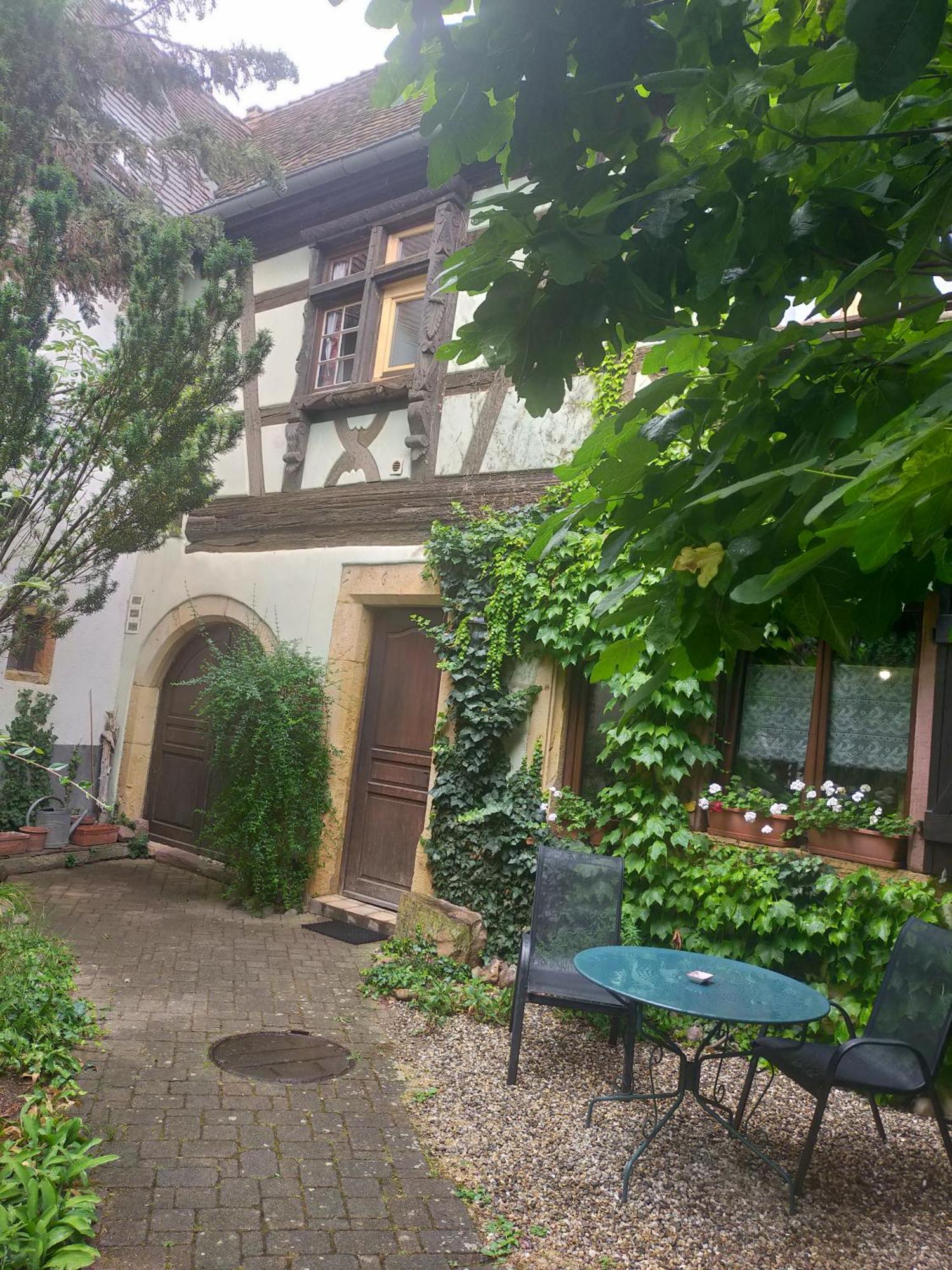Studio La Grenouillere Turckheim Εξωτερικό φωτογραφία