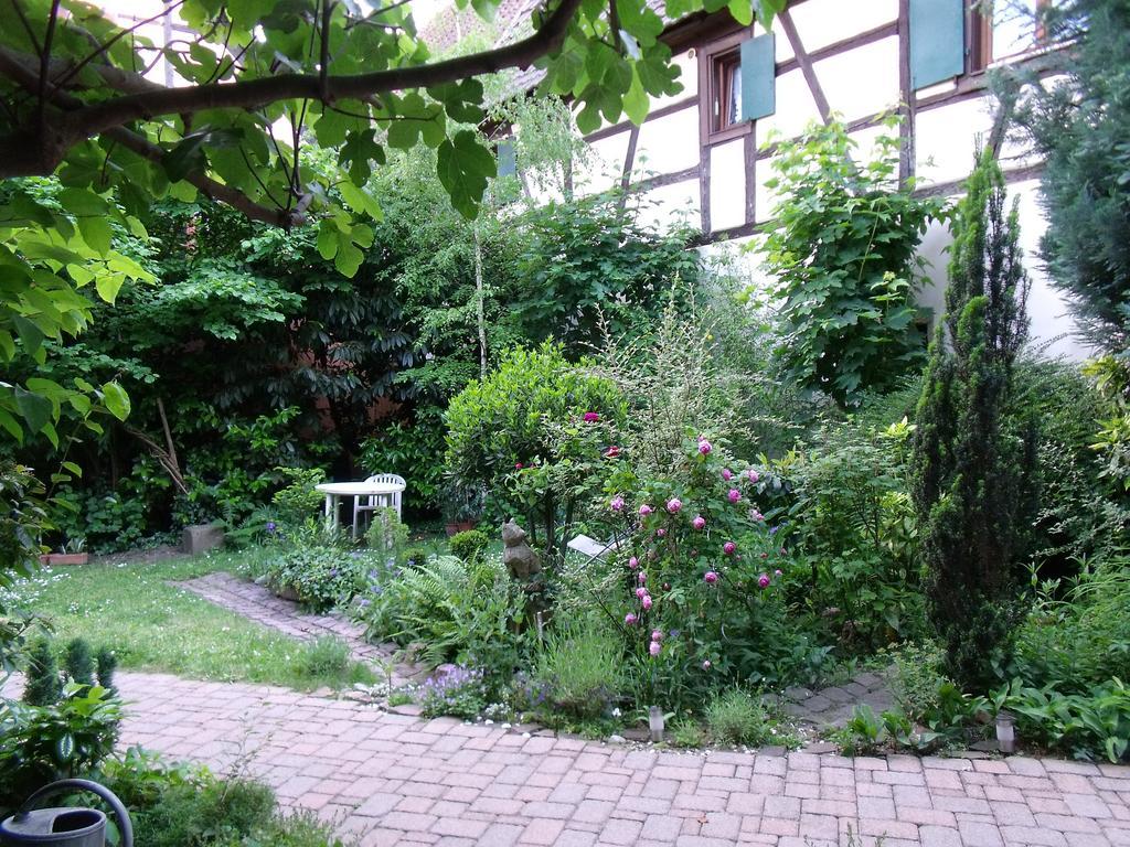 Studio La Grenouillere Turckheim Δωμάτιο φωτογραφία