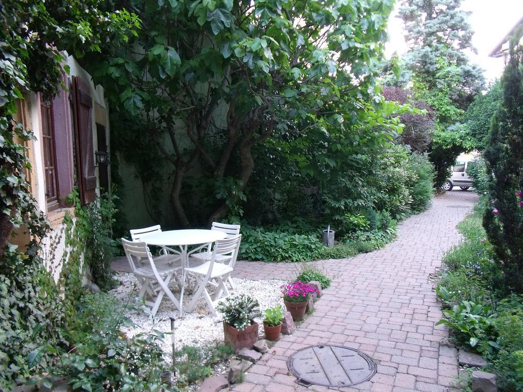 Studio La Grenouillere Turckheim Δωμάτιο φωτογραφία